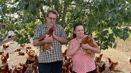 M. et Mme Picard avec leurs poulets Bio à Bagneux