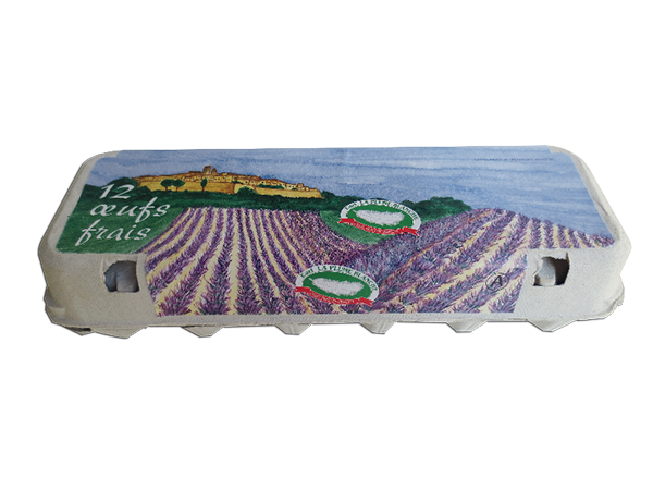 Boîte de 12 oeufs frais Boîte de 12 oeufs frais