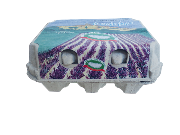 Boîte de 6 oeufs frais Boîte de 6 oeufs frais